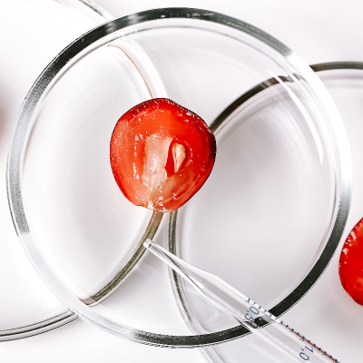 Resweratrol z czerwonych winogron, silny antyoksydant hamujący przedwczesne starzenie się skóry.